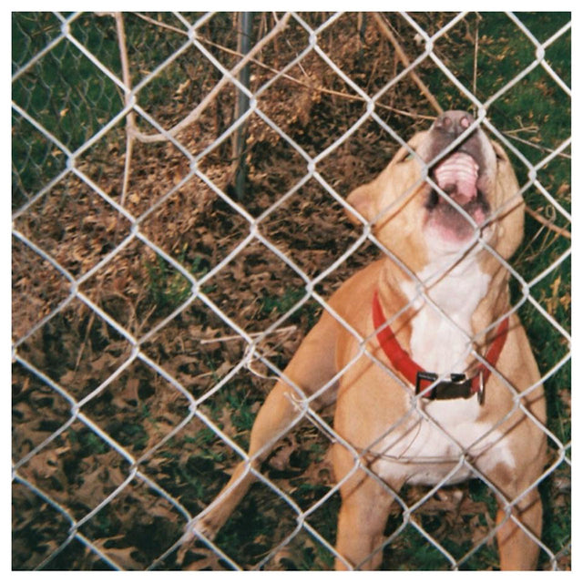 Knocked Loose - Pop culture (12-inch maxi-single) - Velvet Music