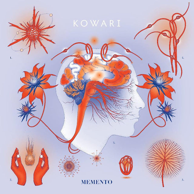 Kowari - Memento (LP) - Velvet Music