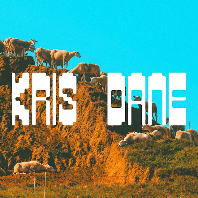 Kris Dane - Kris dane (LP) - Velvet Music