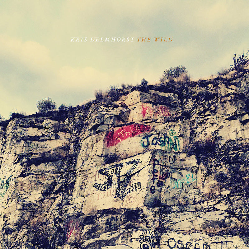 Kris Delmhorst - The wild (CD) - Velvet Music