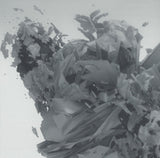 Linkin Park - Living Things (tweedehands CD) - Velvet Music