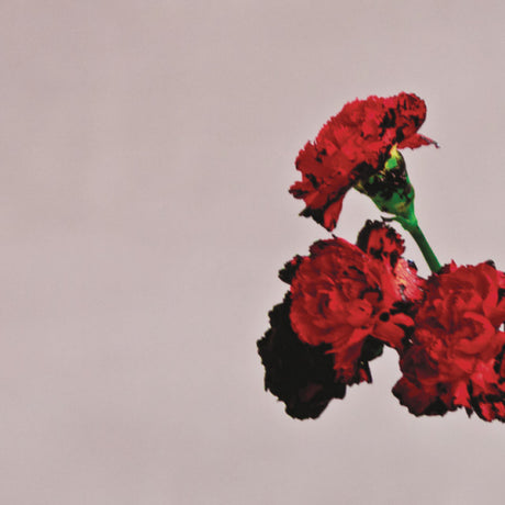 John Legend - Love in the future (CD) - Velvet Music