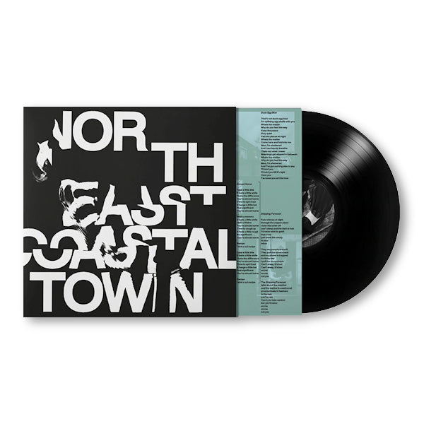 LIFE - North east coastal town (LP) - Velvet Music