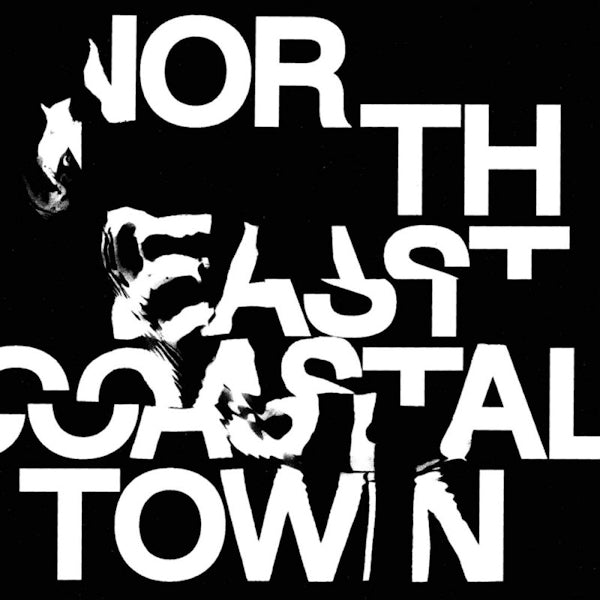 LIFE - North east coastal town (LP) - Velvet Music
