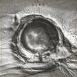 LLNN - Deads (LP) - Velvet Music