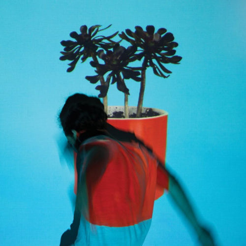 Local Natives - Sunlit youth (LP) - Velvet Music