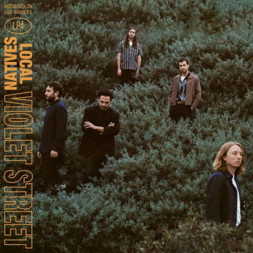 Local Natives - Violet street (CD)