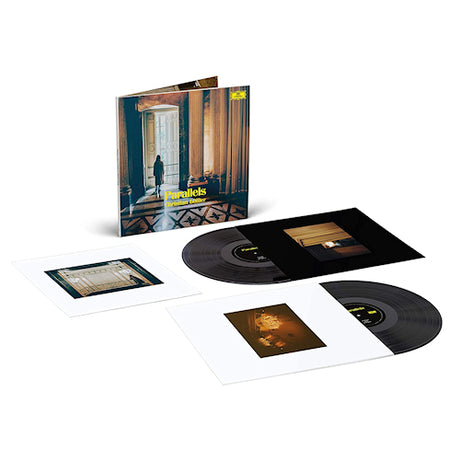 Christian Loffler - Parallels: shellac reworks (LP)