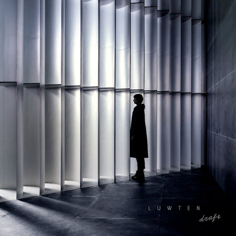 Luwten - Draft (LP) - Velvet Music