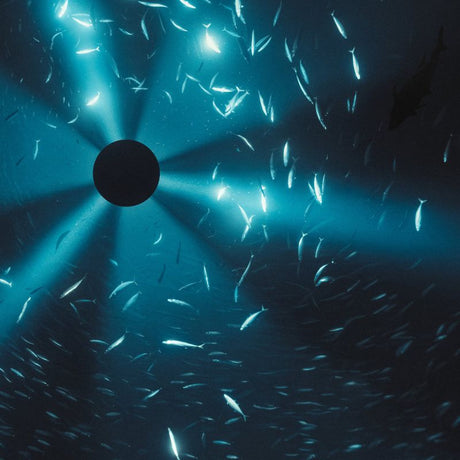 Laurel Halo - Midnight zone (CD) - Velvet Music