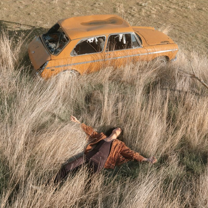 Lawrence Rothman - Plow that broke the plains (LP)