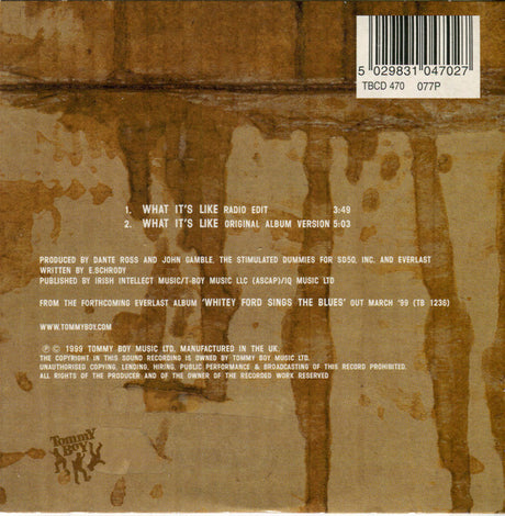 Everlast - What It's Like (tweedehands CD) - Velvet Music