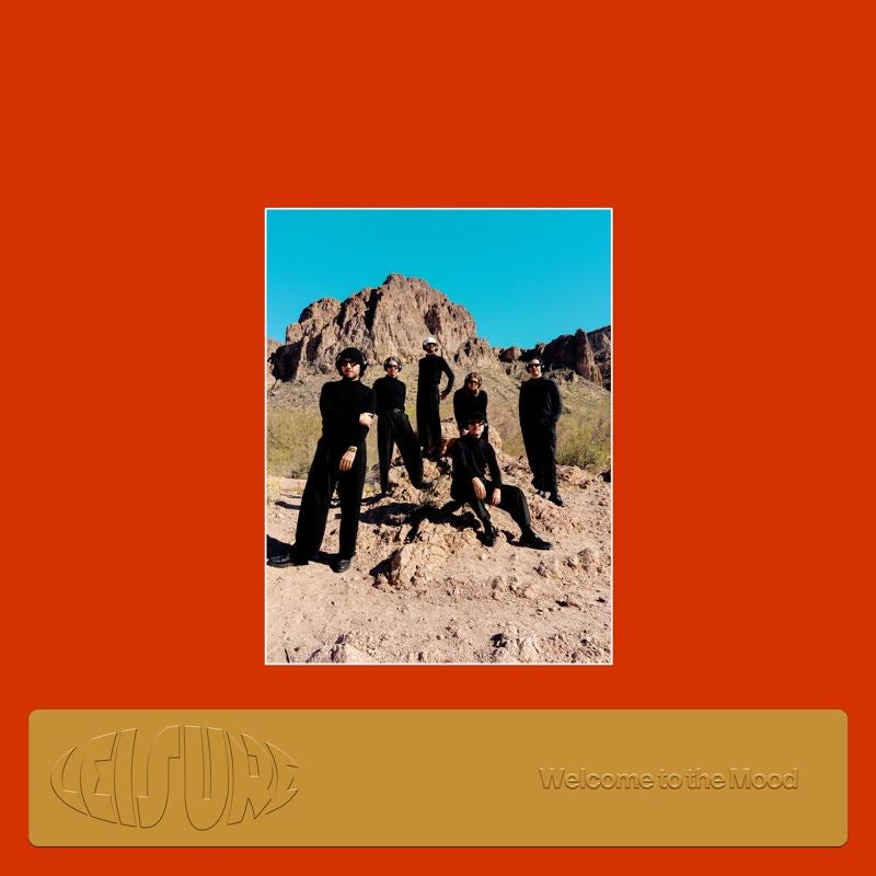 Leisure - Welcome to the mood (LP)