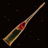 Leprous - Melodies Of Atonement (LP) - Velvet Music