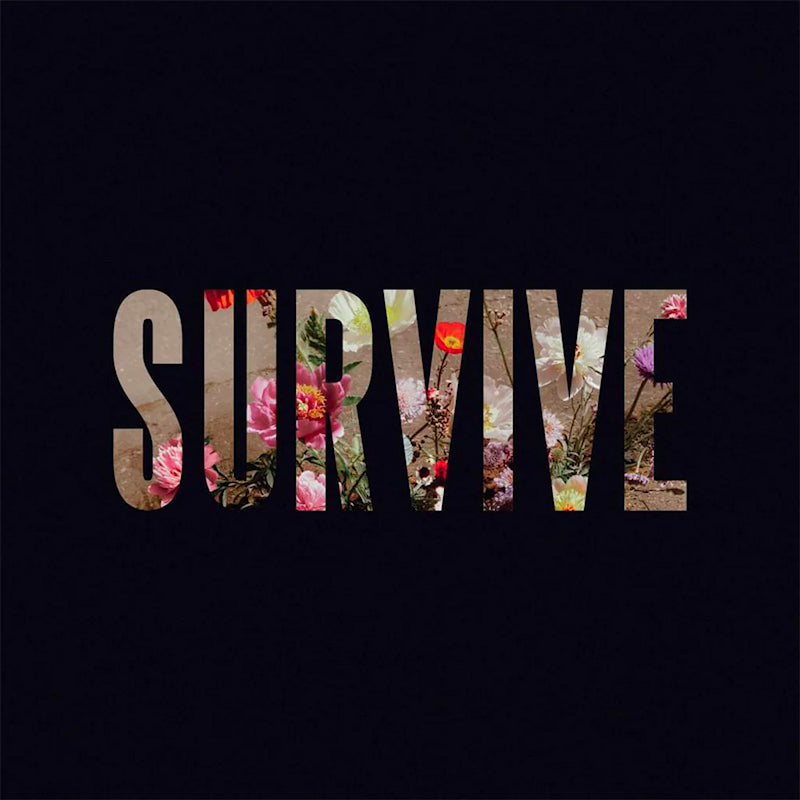 Lewis Capaldi - Survive ep (CD)