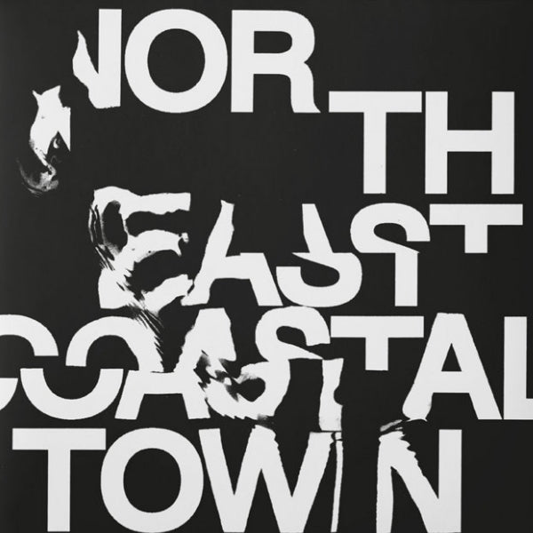 LIFE - North east coastal town (LP) - Velvet Music