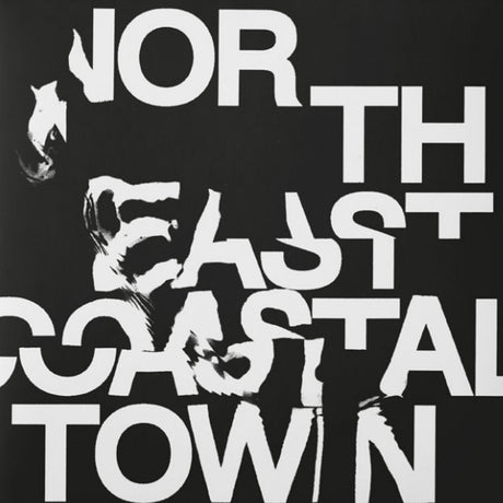 LIFE - North east coastal town (LP) - Velvet Music