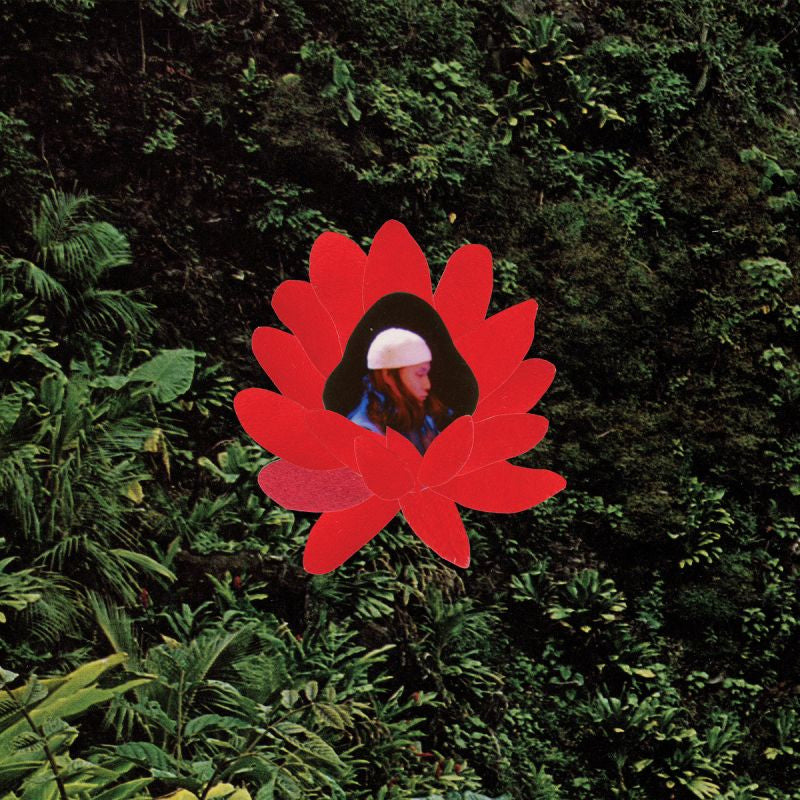 Lionmilk - When the flowers bloom (LP) - Velvet Music