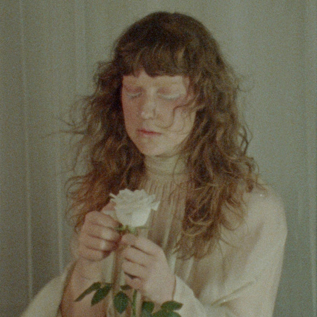 Lucy Kruger & The Lost Boys - Pale bloom (CD) - Velvet Music