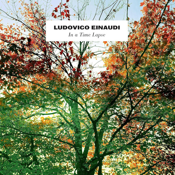 Ludovico Einaudi - In a time lapse (LP)
