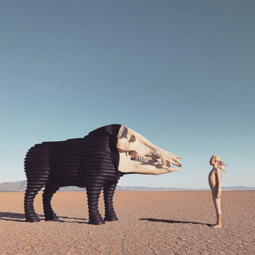 Man Man - Dream hunting in the valley of the in-between (CD) - Velvet Music