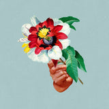 Maribou State - Kingdoms in colour (LP) - Velvet Music