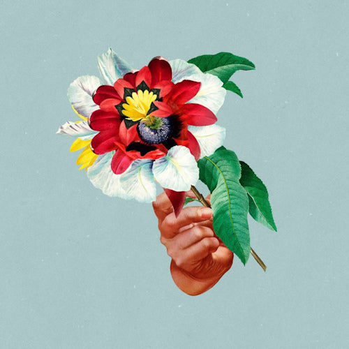 Maribou State - Kingdoms in colour (CD) - Velvet Music