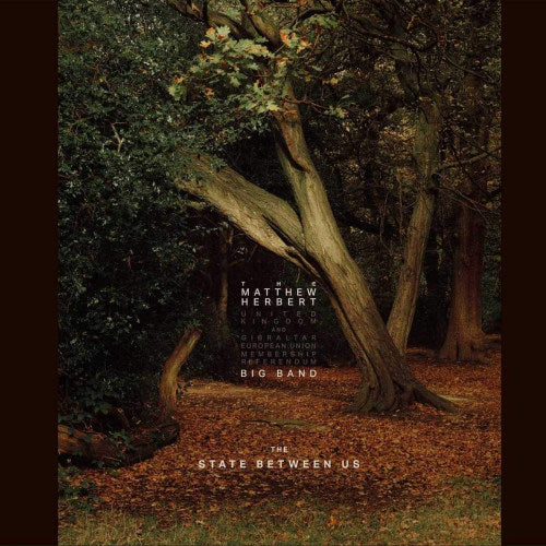 Matthew Herbert Big Band - State between us (LP) - Velvet Music