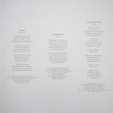 PJ Harvey - I inside the old year dying (LP) - Velvet Music