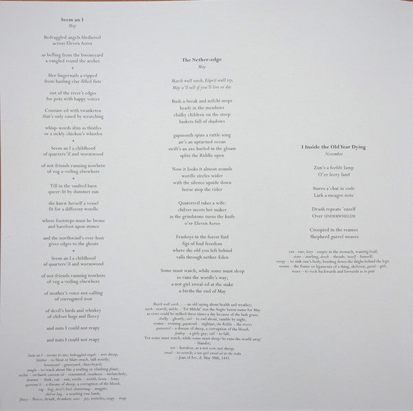 PJ Harvey - I inside the old year dying (LP) - Velvet Music