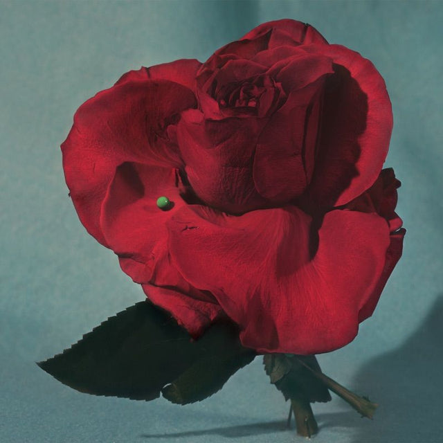 METZ - Up on gravity hill (CD) - Velvet Music