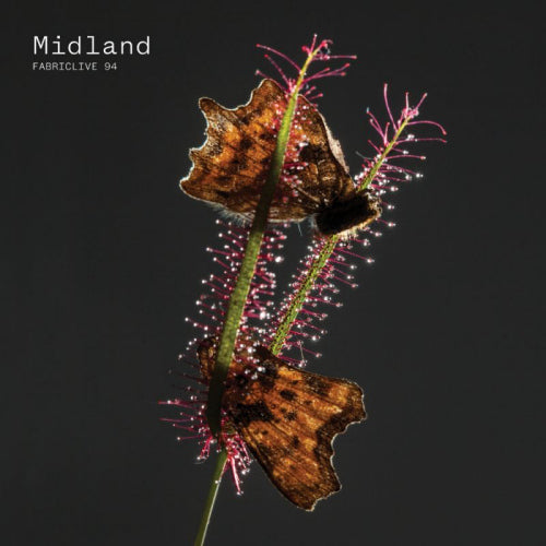 Midland - Fabriclive 94 midland (CD) - Velvet Music
