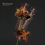 Midland - Fabriclive 94 midland (CD) - Velvet Music