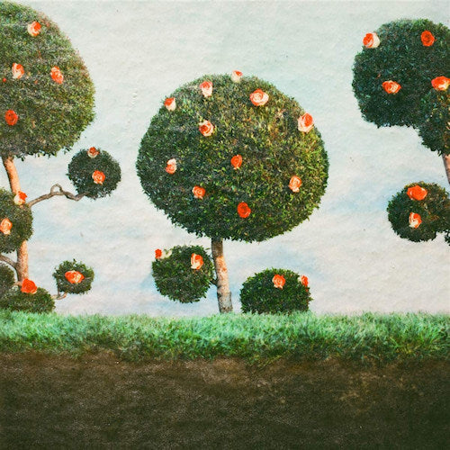 Midnight Sister - Painting the roses (LP)