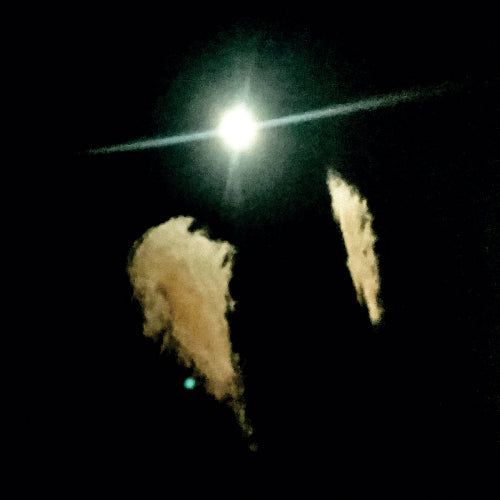 Midwife - Forever (LP) - Velvet Music