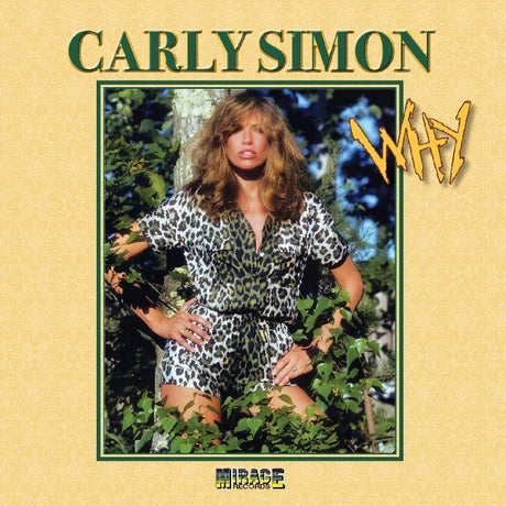 Carly Simon - Why / why (instrumental) (Preloaded Player audio) - Velvet Music