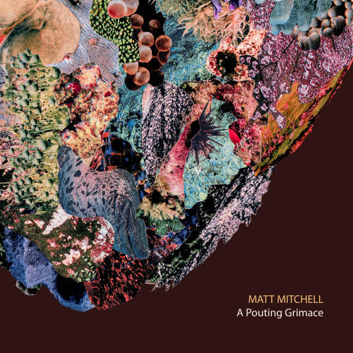 Matt Mitchell - A pouting grimace (CD)