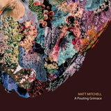 Matt Mitchell - A pouting grimace (CD)