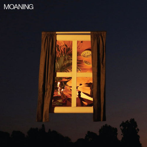 Moaning - Moaning (LP) - Velvet Music