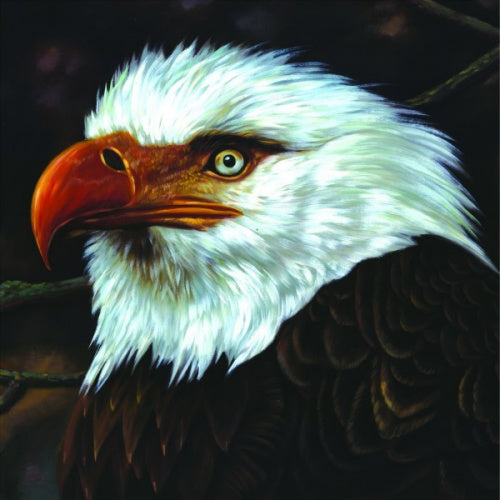 Mogwai - Hawk is howling (CD) - Velvet Music