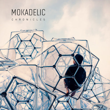 Mokadelic - Chronicles (LP) - Velvet Music