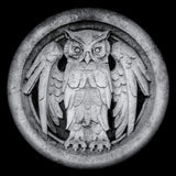 Monarchy - Abnocto (LP) - Velvet Music