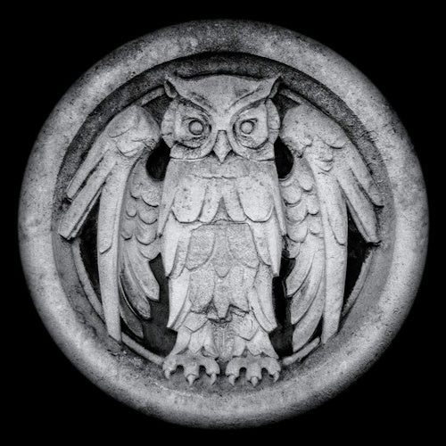Monarchy - Abnocto (LP) - Velvet Music