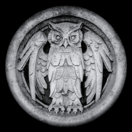 Monarchy - Abnocto (CD)