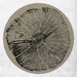 Roy Montgomery - H: bender (LP) - Velvet Music