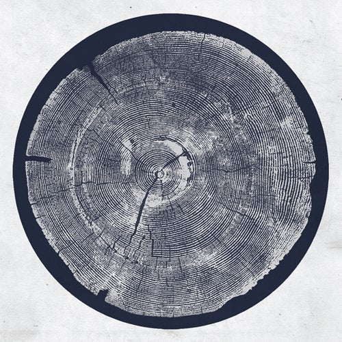 Roy Montgomery - R: tropic of anodyne (LP)