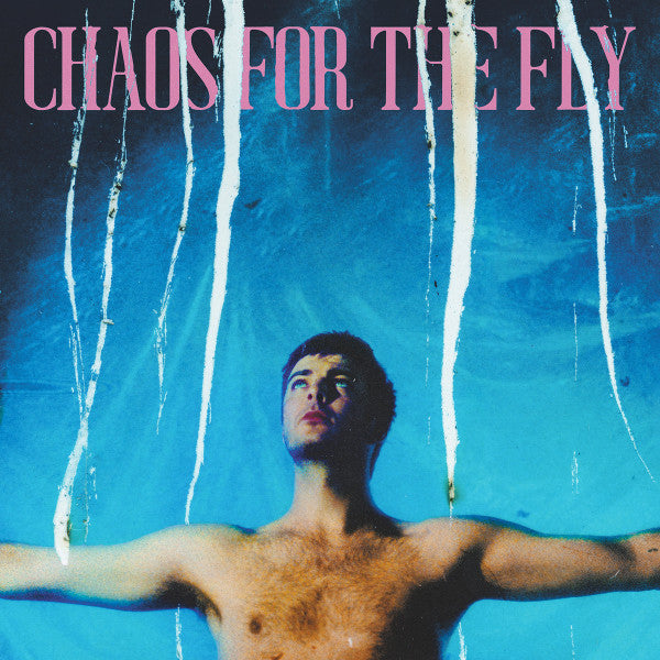 Grian Chatten - Chaos for the fly (CD)