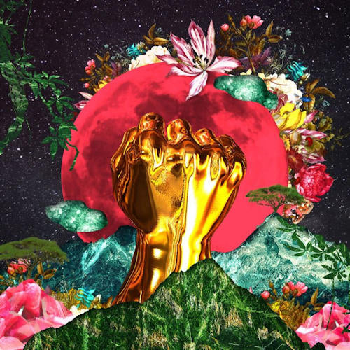Rina Mushonga - In a galaxy (CD) - Velvet Music