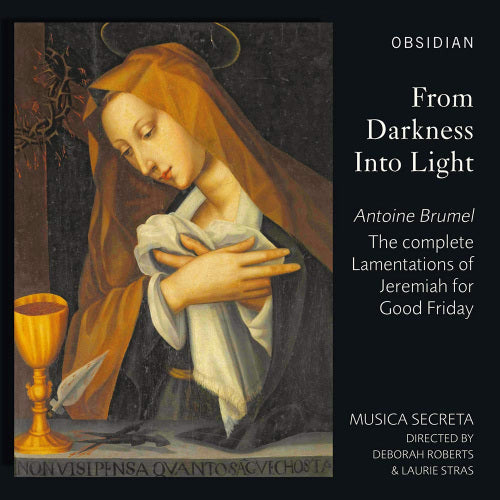 Musica Secreta - From darkness into light (CD) - Velvet Music