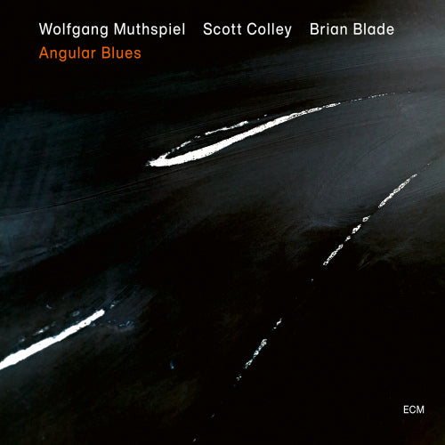 Wolfgang Muthspiel - Angular blues (LP) - Velvet Music